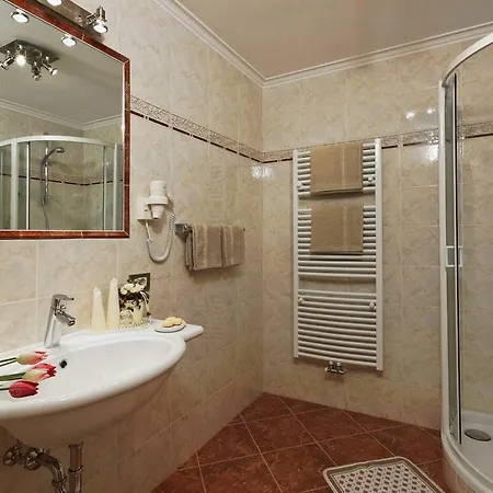Alpin Apartment *